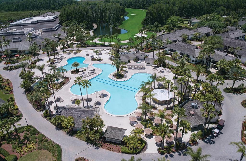 Saddlebrook Golf Resort & Spa Tampa North-Wesley Chapel Main image 2